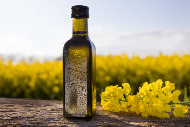 Canola oil suppliers in Canada