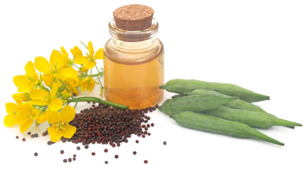 Canola oil suppliers in Canada
