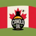 Canola oil suppliers in Canada