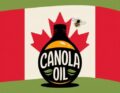 Canola oil suppliers in Canada