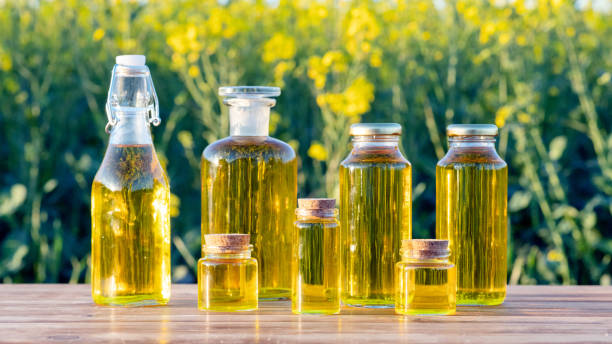 Canola oil wholesalers in Canada
